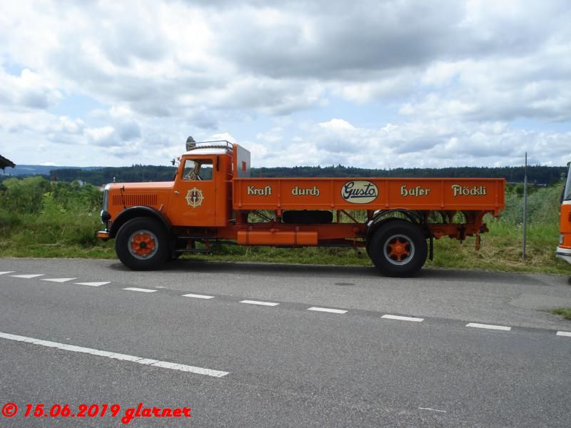K800_DSC04371 Holzrüti 2019.jpg