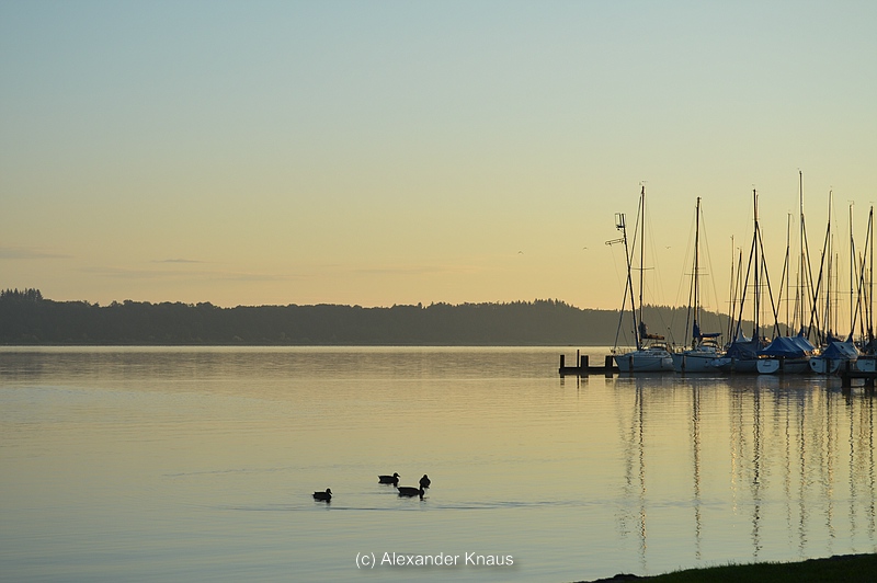 comp_DSC_0358.jpg