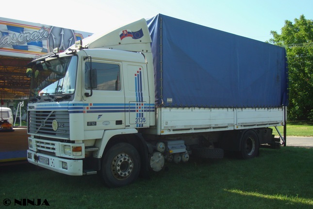 Volvo_F12_400_4x2_V_01.jpg