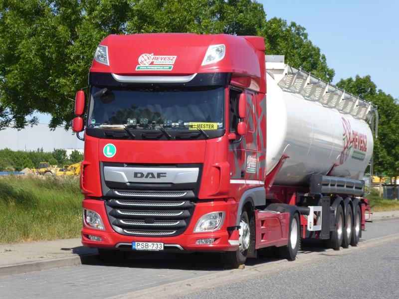 DAF XF 450 Revesz 2 (Copy).jpg