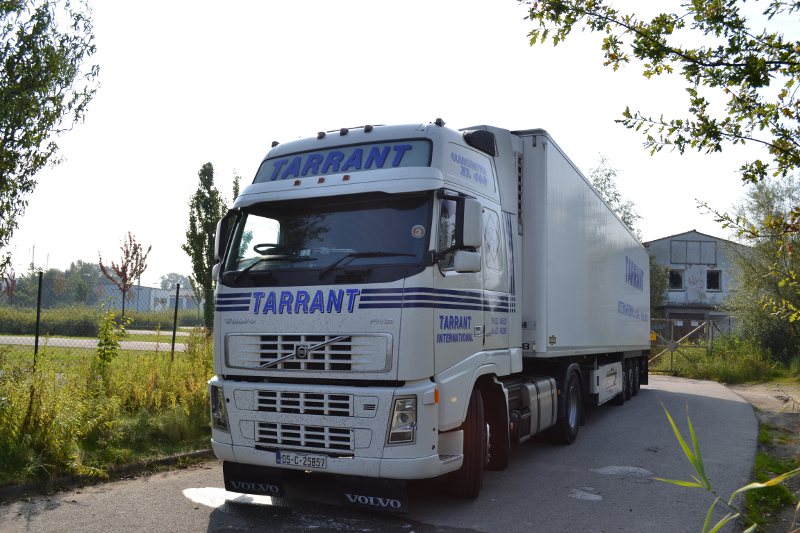 Volvo FH12 460 GXL TARRANT INTERNATIONAL 1[IRL].jpg