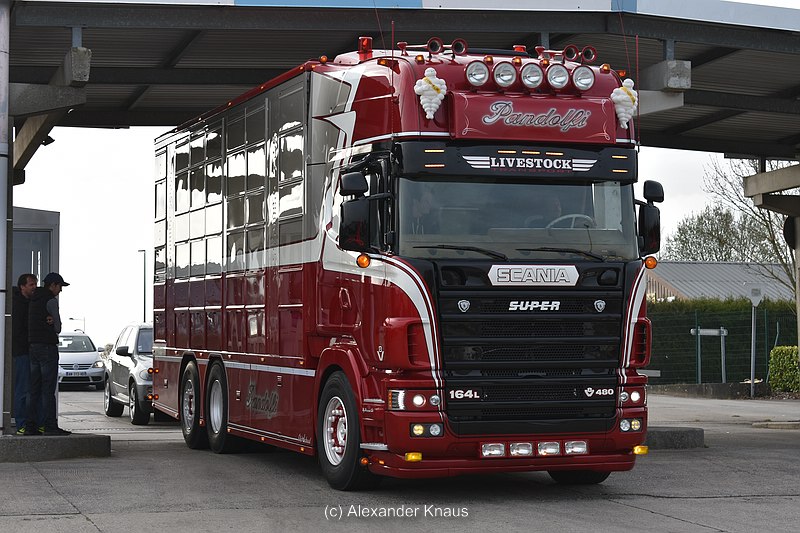 comp_DSC_3988.jpg