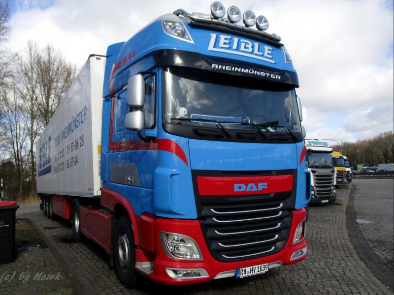 DAF XF - Leible.jpg