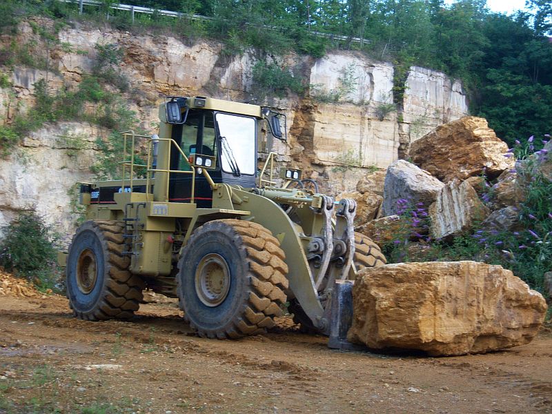 Modelle 1.50 Cat 001.jpg