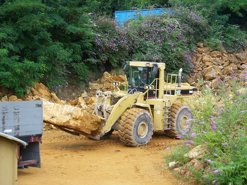 Modelle 1.50 Cat 007.jpg