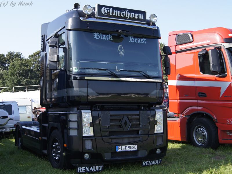 Renault Magnum (D).jpg
