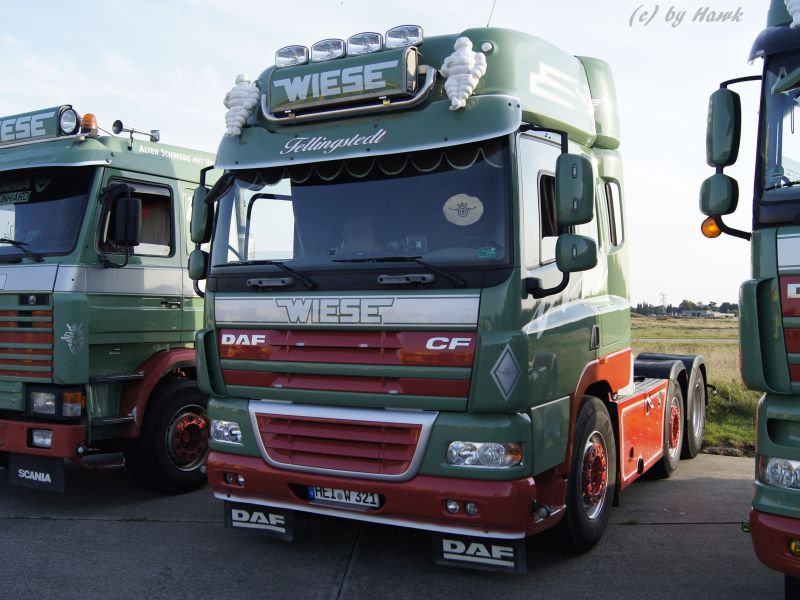 DAF CF 85.460 - Wiese.jpg