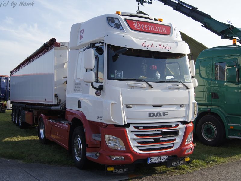 DAF CF 440 - Martin Heemann (2).jpg