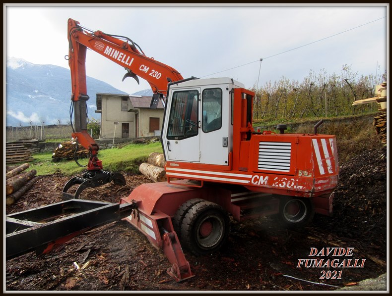 Minelli CM230 Masotti 002.jpg