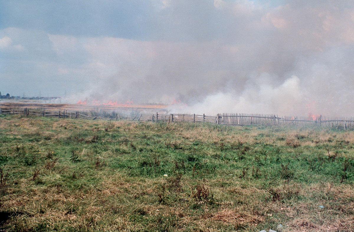 UmbauZgorzelec_012.jpg UmbauZgorzelec_012.jpg