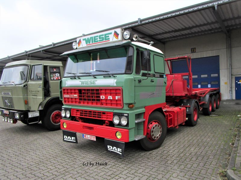 DAF 2800 Turbo - Wiese (2)x.jpg