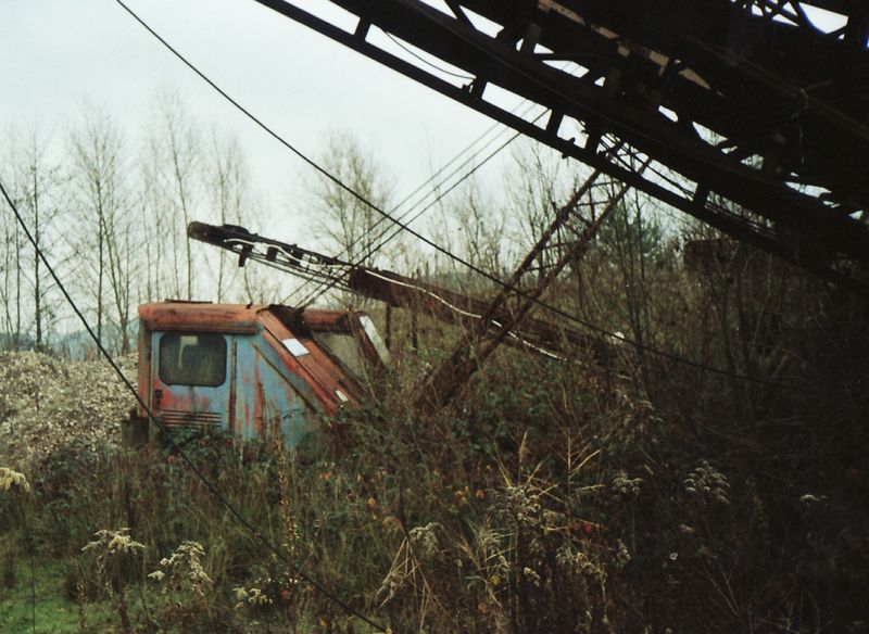 IMG.jpg