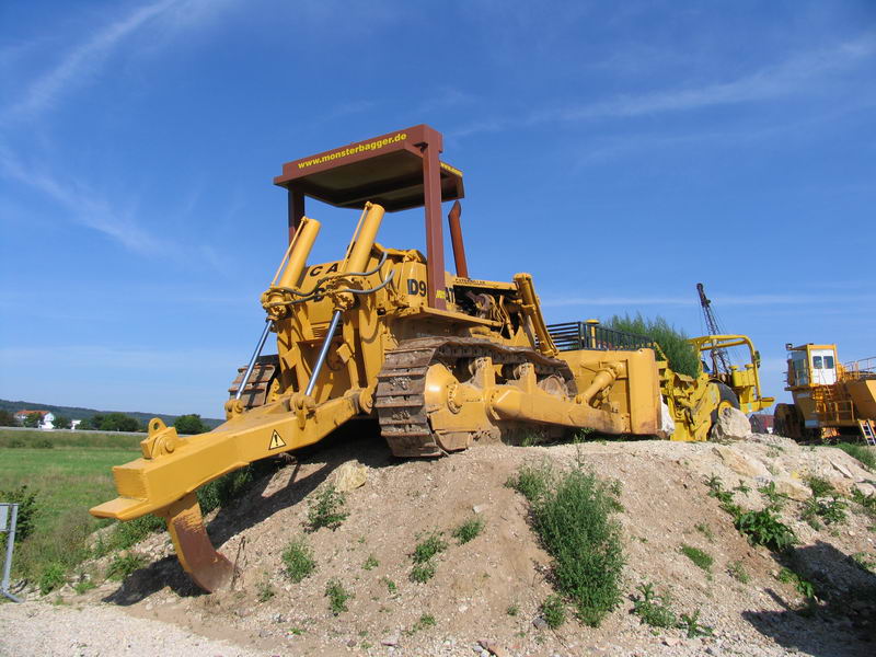 d9.jpg