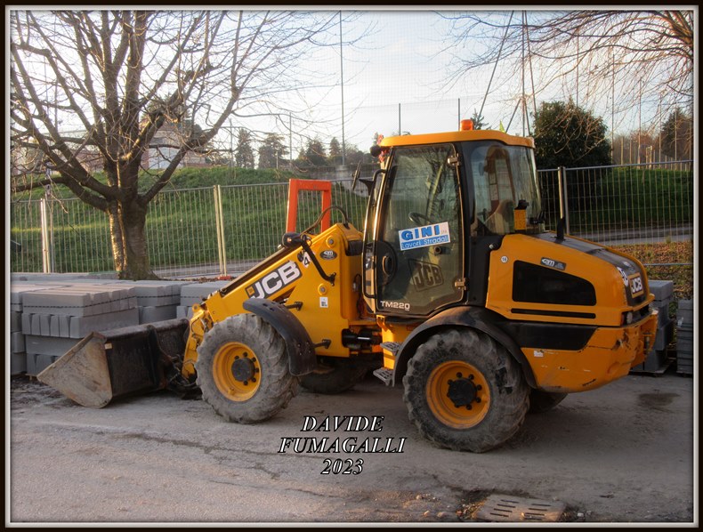 JCB TL220 Gini 002.jpg