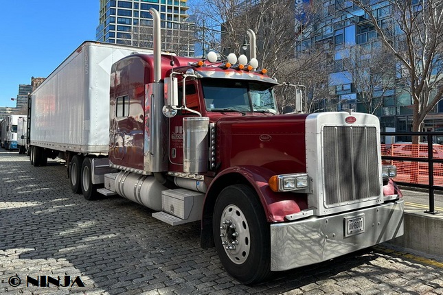 Peterbilt_379_6x4_NT_01.jpg