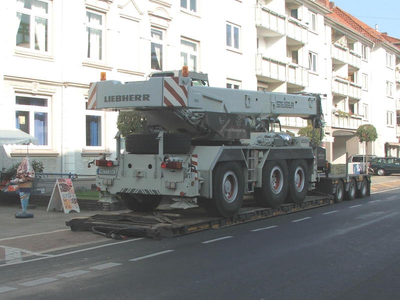 Steiger auf Tieflader 5 DSC00418 (2) (2).jpg