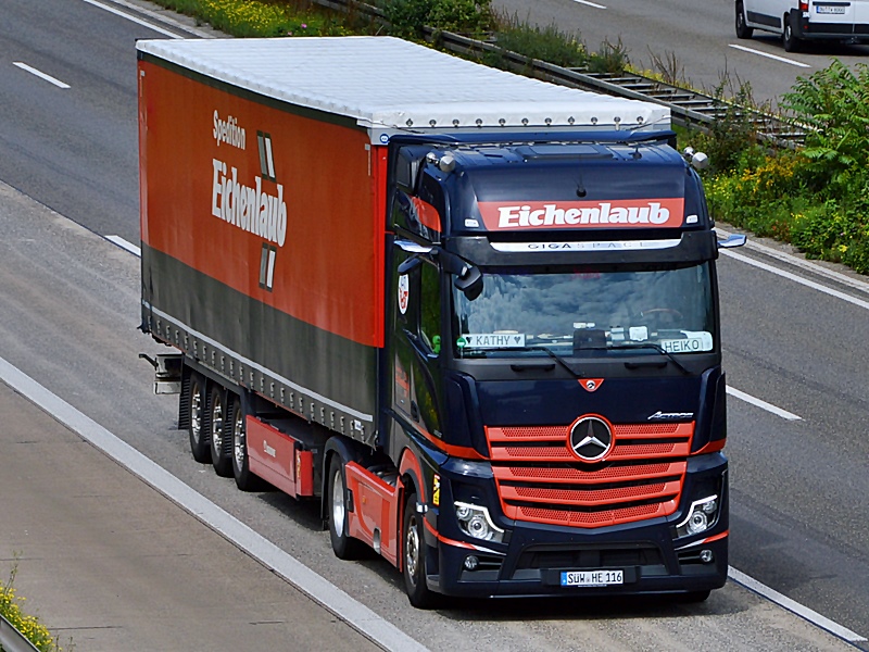 Eichenlaub, SÜW-HE 116 0160.jpg