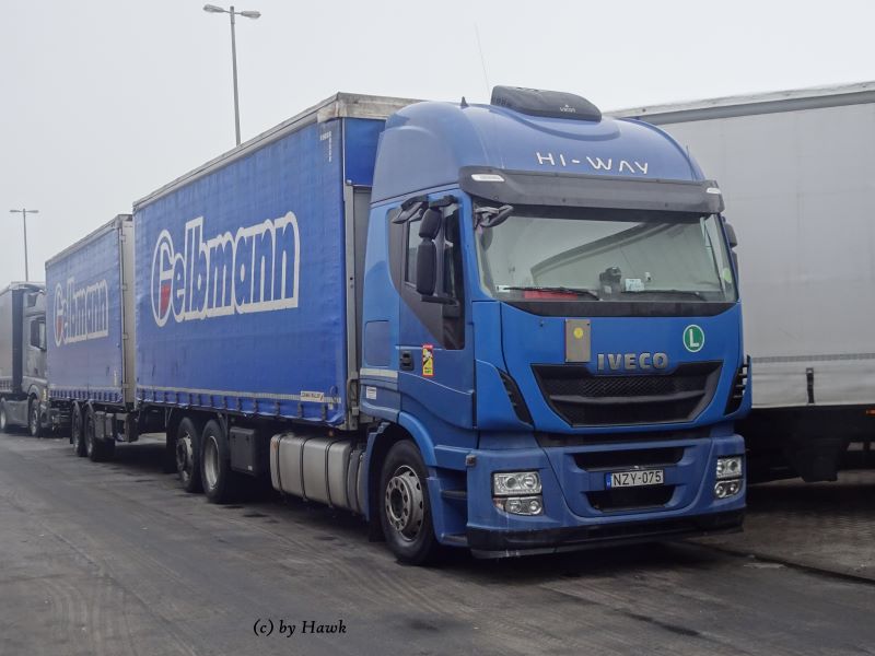 Iveco Stralis 260 S Hi-Way - Gelbmann (H)x.jpg