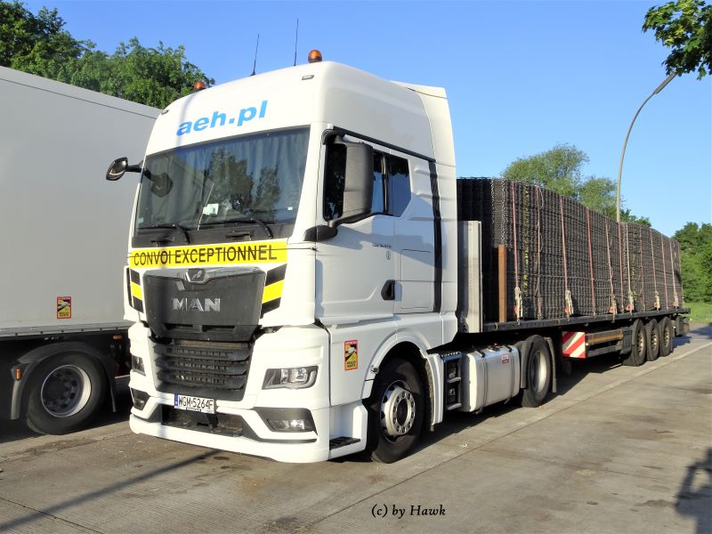 MAN TGX 18.470 - AEH (PL)x.jpg