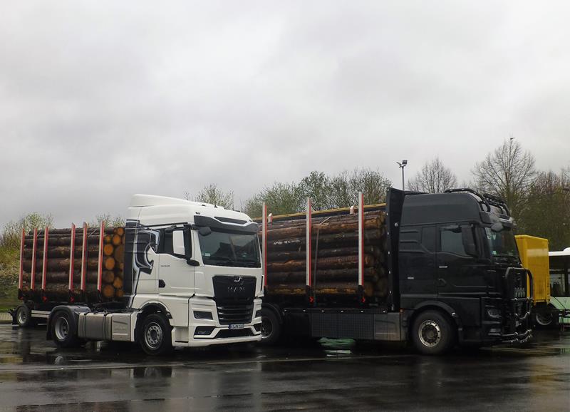 New MAN TGX 33.580 Holzlaster 2 (Copy).jpg