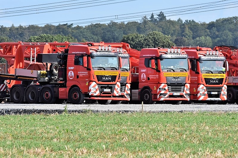 DSC_3975.jpg
