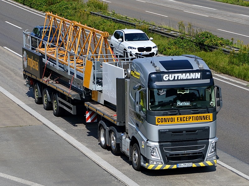 GUTMANN, OG-TM 6201 0063.jpg