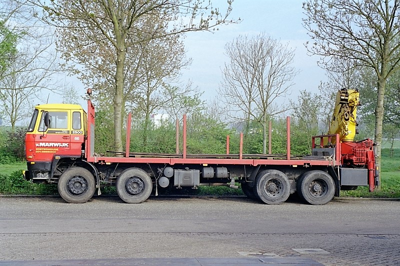 6169.jpg