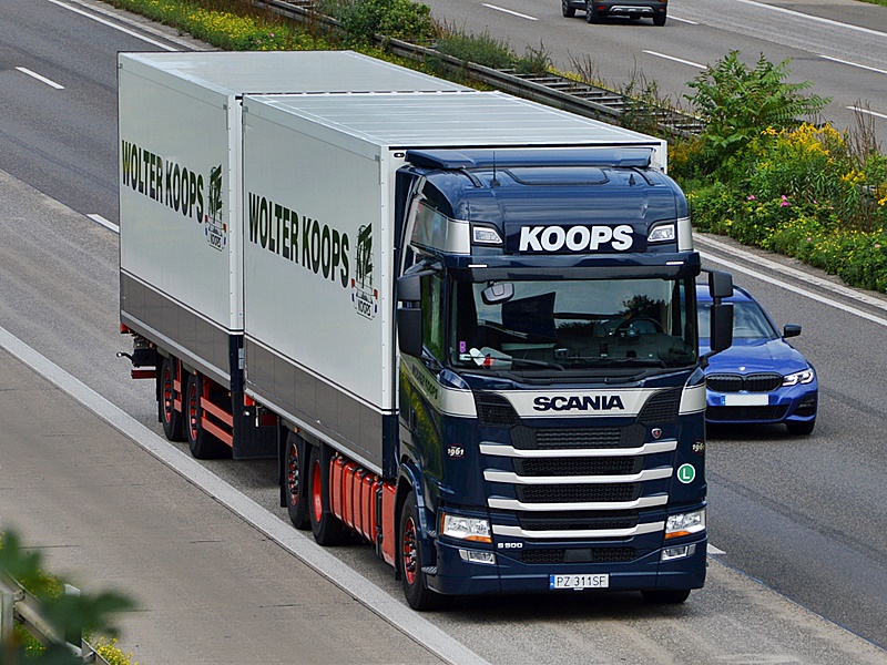 KOOPS, PZ 311SF, NL, PL 0016.jpg
