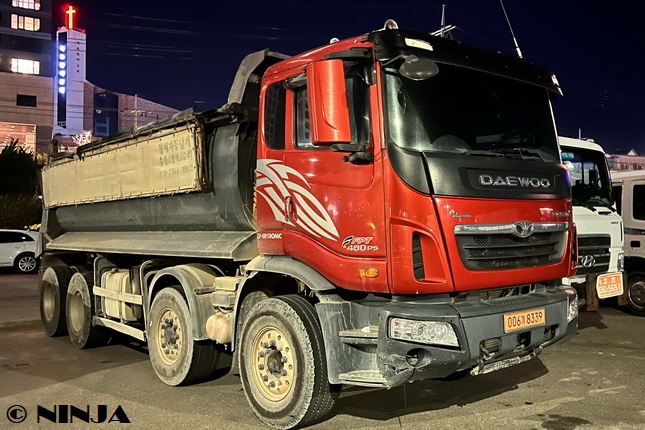 Daewoo_Prima_8x4_S1_02.jpeg