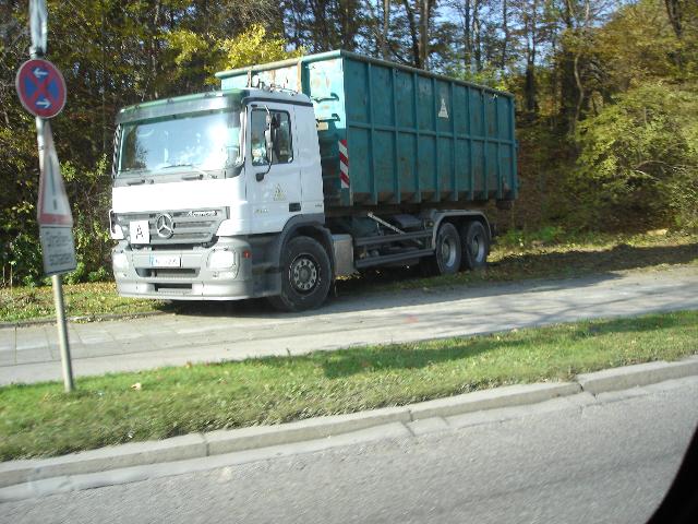 pferde 784.jpg