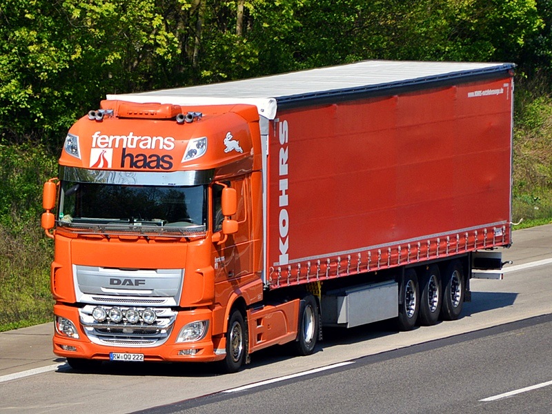 ferntrans haas, RW-QQ 222, Schenkenzell 0246 (2021_01_15 06_04_24 UTC).jpg