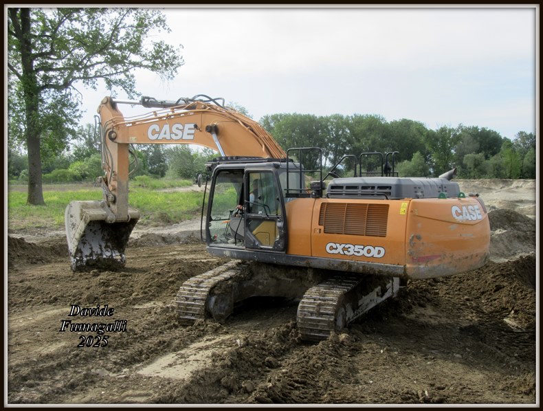 Case 350 Pesa (9).jpg