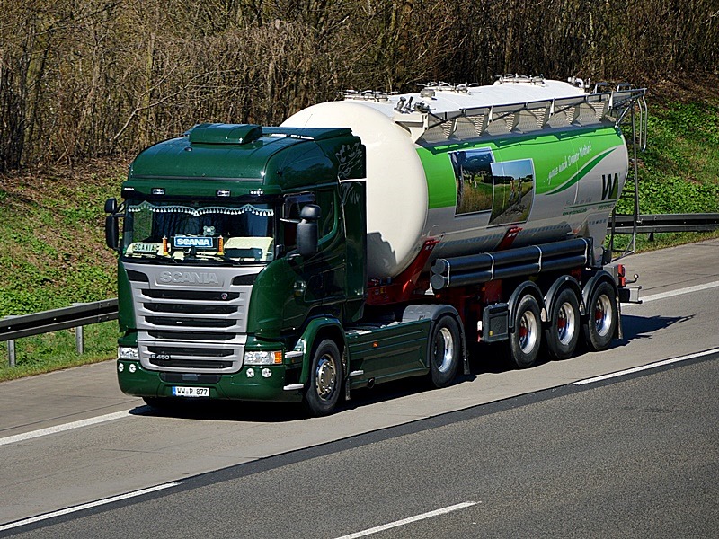 Petri, WW-P 877 0238.jpg