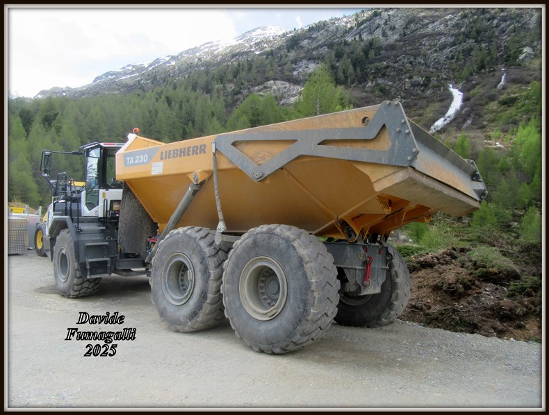 Liebherr TA230 009.jpg