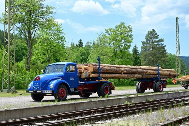 thumbnail_BZ6_3922 (Mittel).jpg