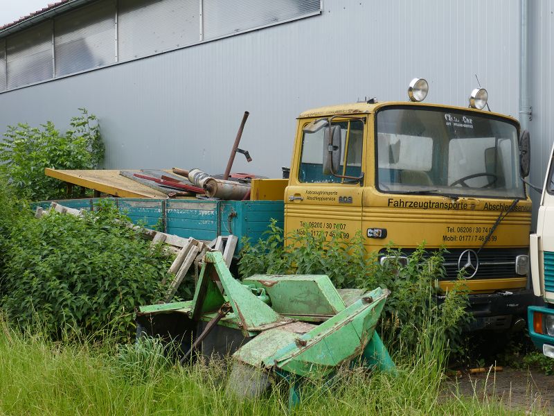 k-P1110078.jpg