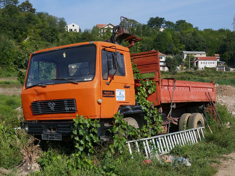 k-P1110150.jpg