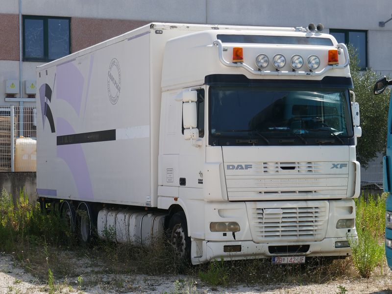 k-P1110548.jpg