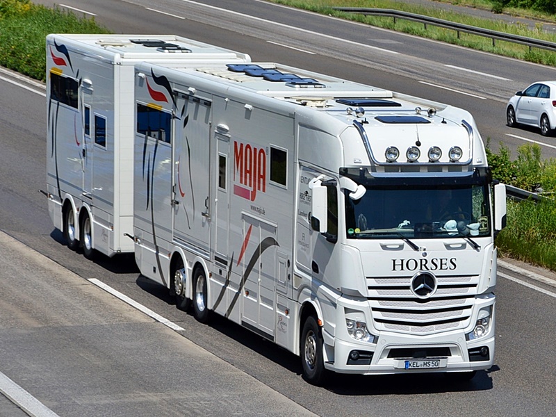 Pferdetransporter, Maja, KEL-HS 50 0223.jpg
