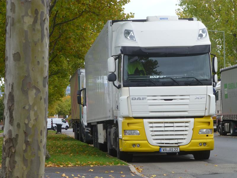 DAF XF 105.460 SZM Weiss-Gelb 2 (Copy).jpg