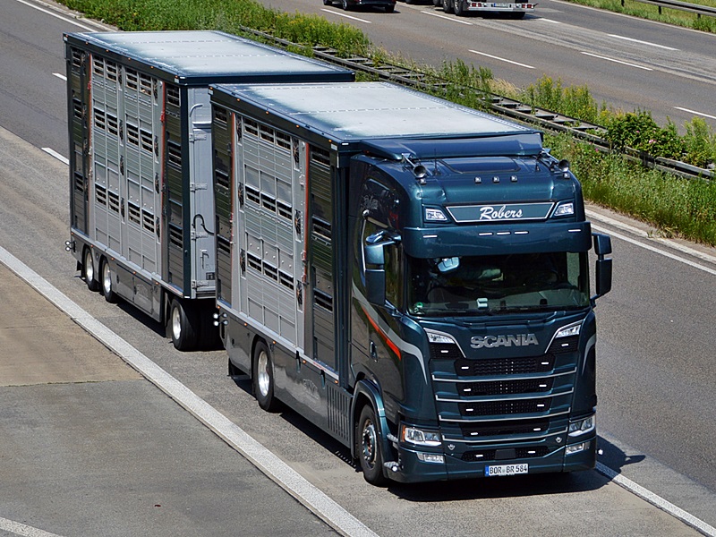 Tiertransport, Robers, Bernd, Ahaus, BOR-BR 584 0312.jpg