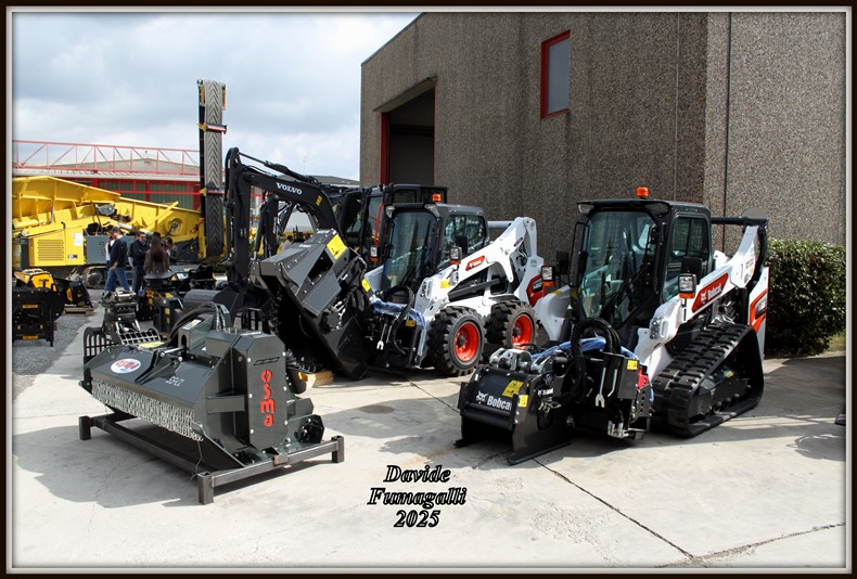 Bobcat minipale (5).jpg