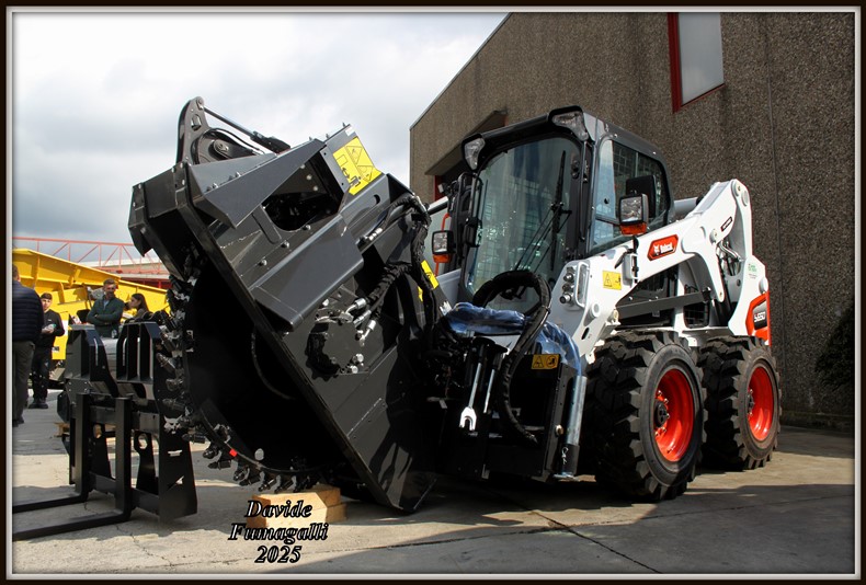 Bobcat minipale (7).jpg