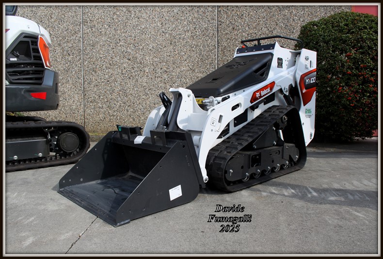 Bobcat minipale (8).jpg