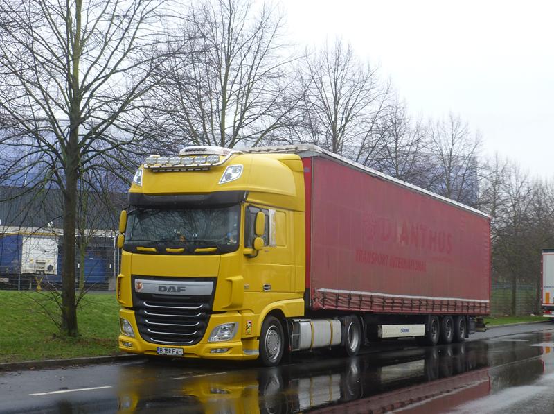 DAF XF 460 Dianthus 1 (Copy).jpg