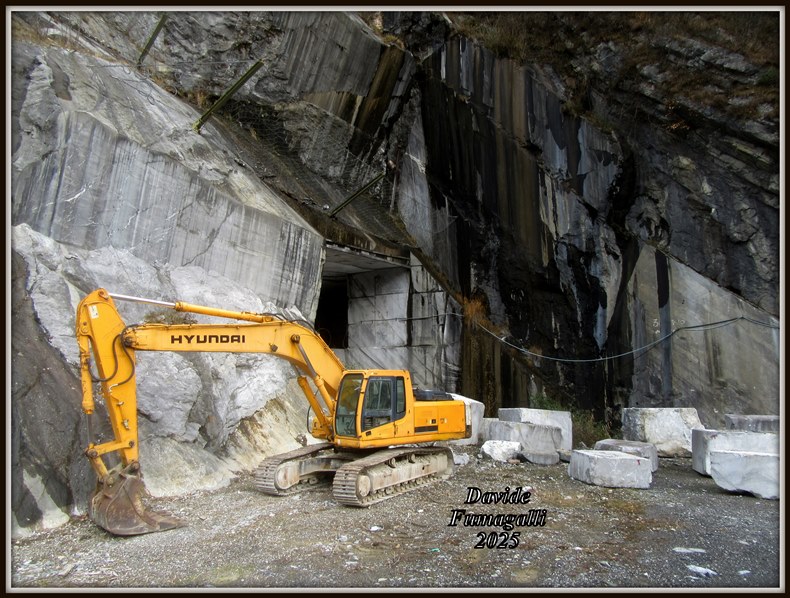 Hyundai Robex 290NLC-7 Fornoni Ardesio (4).jpg