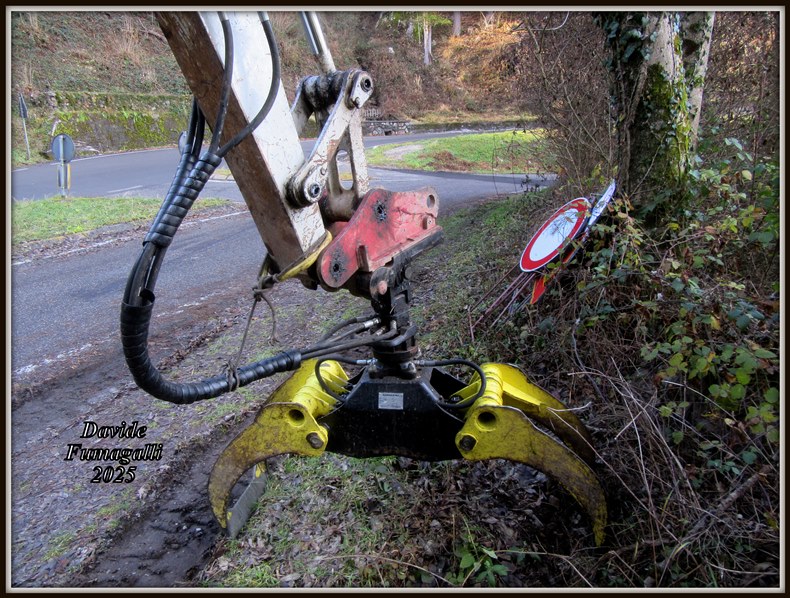 Takeuchi TB260 Alto Serio 003.jpg