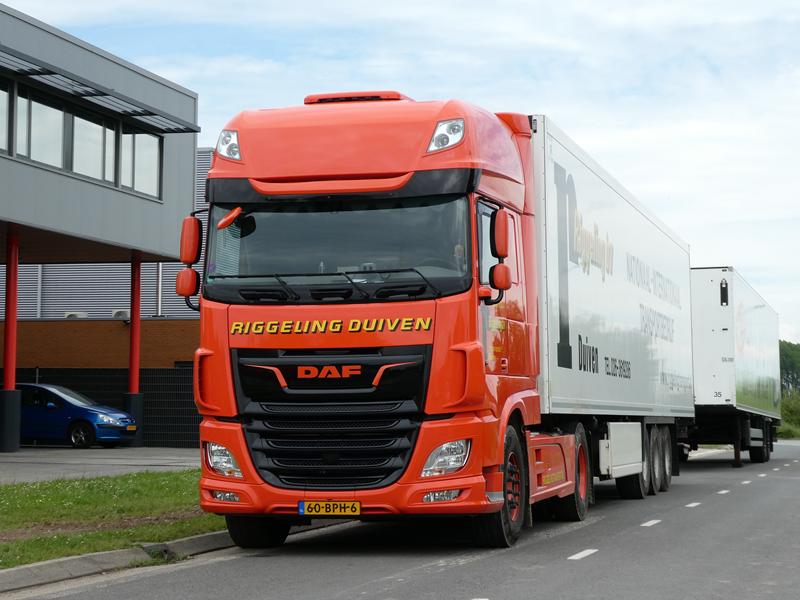 DAF XF 480 Riggeling 10 (Copy).jpg