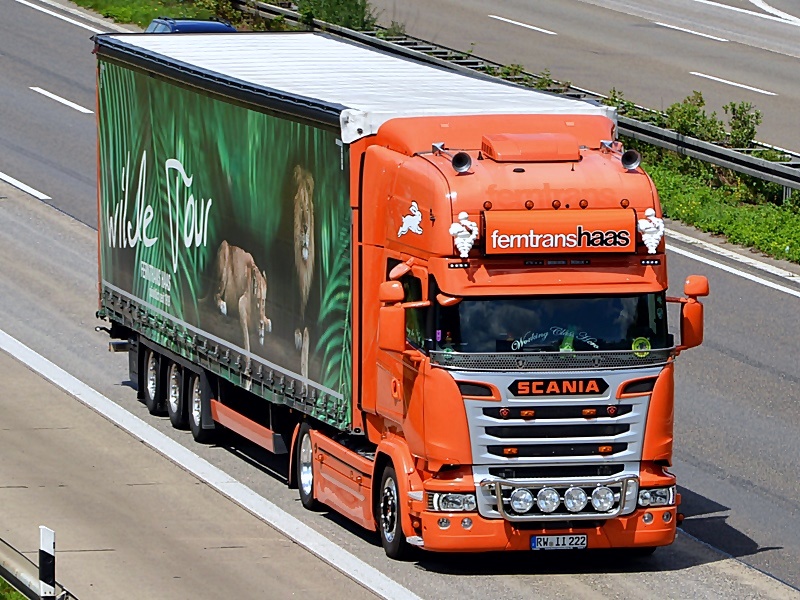 Ferntrans Haas, RW-II 222 0150 (2023_10_26 16_05_13 UTC).jpg