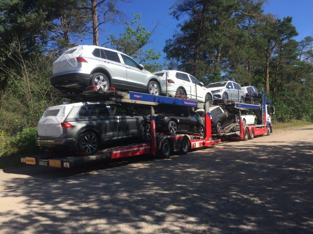 IMG_0061 (Klein).jpg